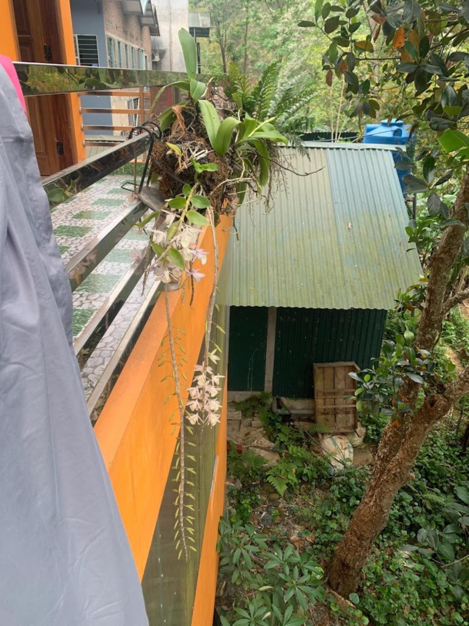 Nhu Quynh Hotel Bao Lac Eksteriør billede